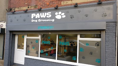 Grooming Van Image