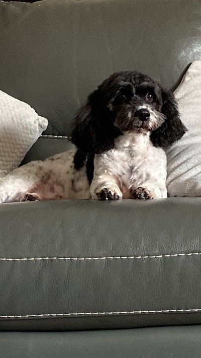Grooming Van Image