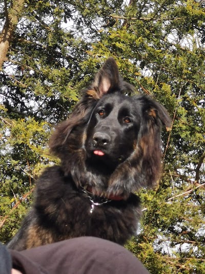 Grooming Van Image