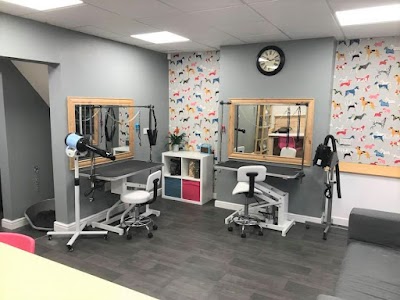 Paws Dog Grooming