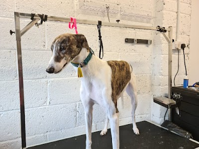 Grooming Van Image