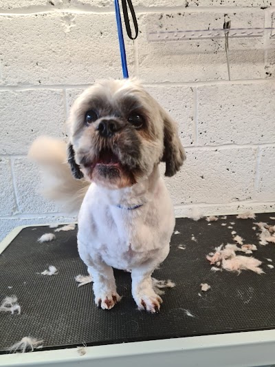 Grooming Van Image