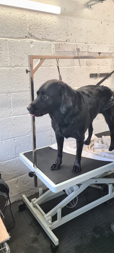 Grooming Van Image