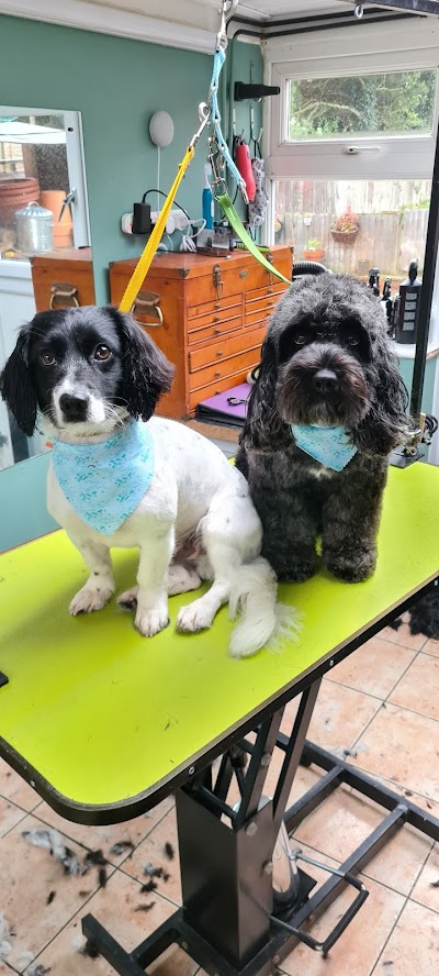 Grooming Van Image