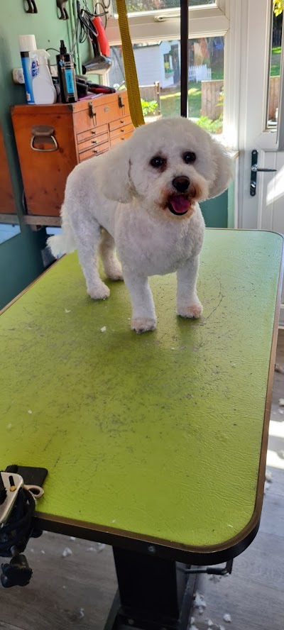 Grooming Van Image