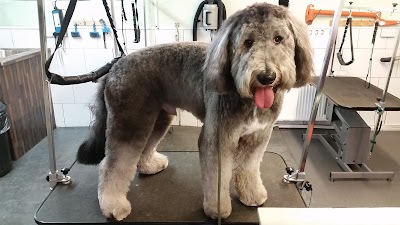 Grooming Van Image