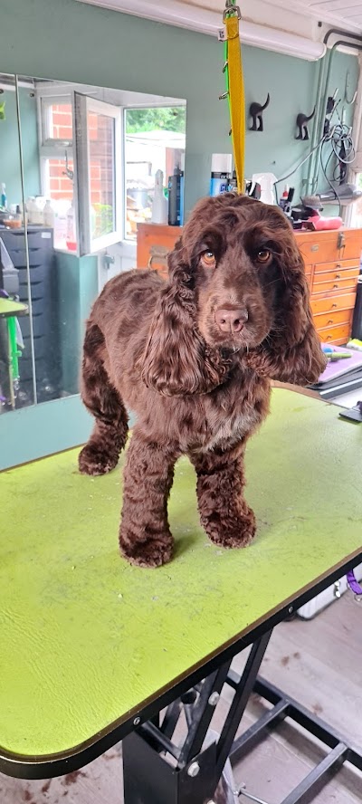 Grooming Van Image