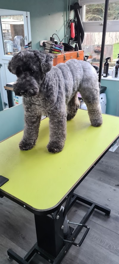 Grooming Van Image