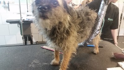 Grooming Van Image