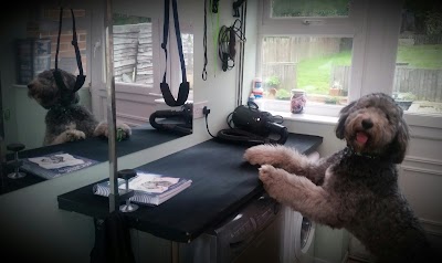 Pet & Pamper Dog Grooming