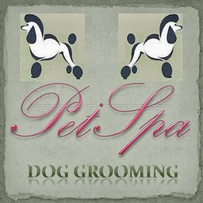 Grooming Van Image