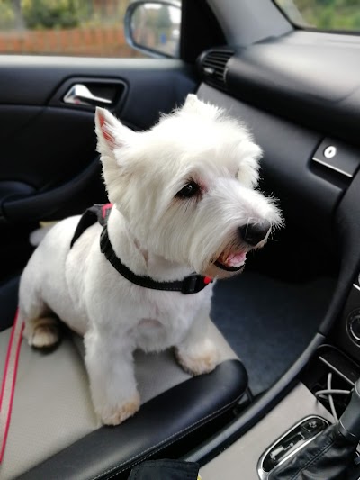 Grooming Van Image