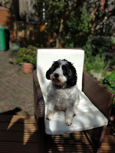 Grooming Van Image