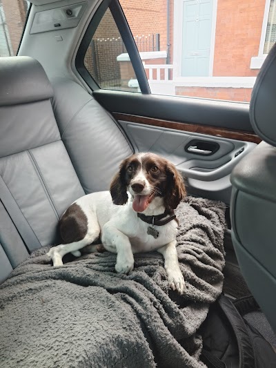 Grooming Van Image