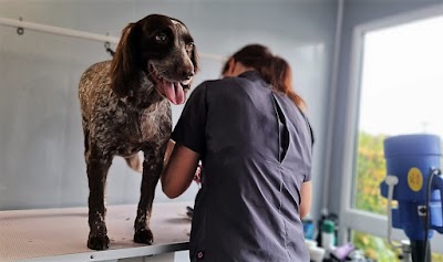 Grooming Van Image