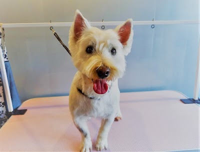 Grooming Van Image