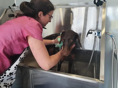 Grooming Van Image