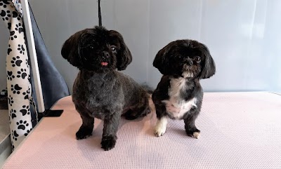Plush Pups