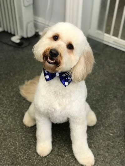 Grooming Van Image