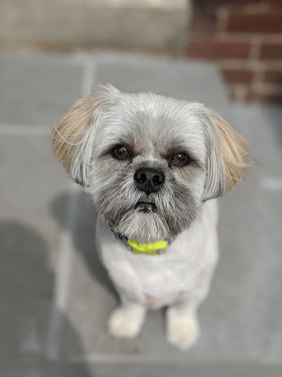 Grooming Van Image