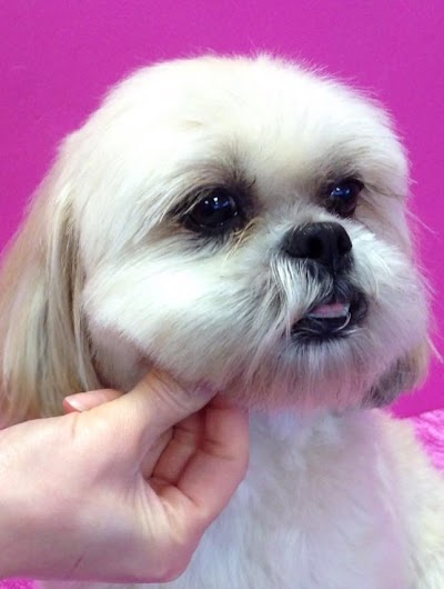 Grooming Van Image