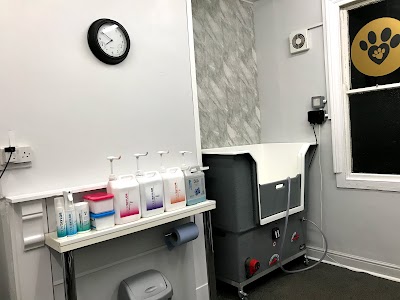 Grooming Van Image