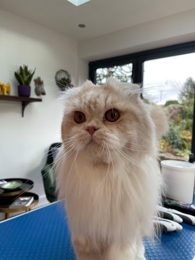 Grooming Van Image