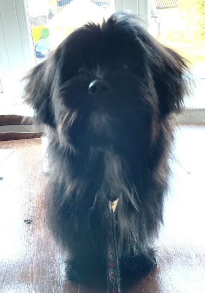 Grooming Van Image