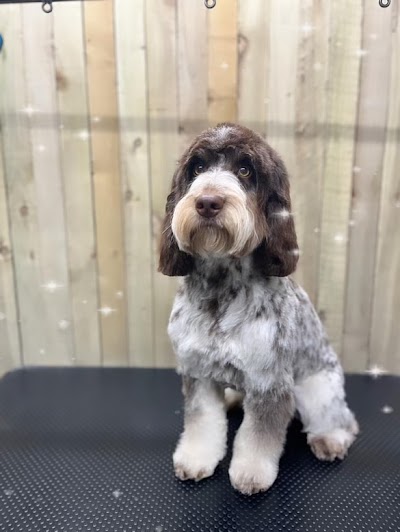 Grooming Van Image