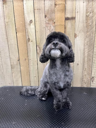 Grooming Van Image