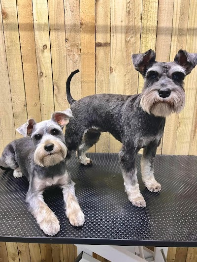 Grooming Van Image