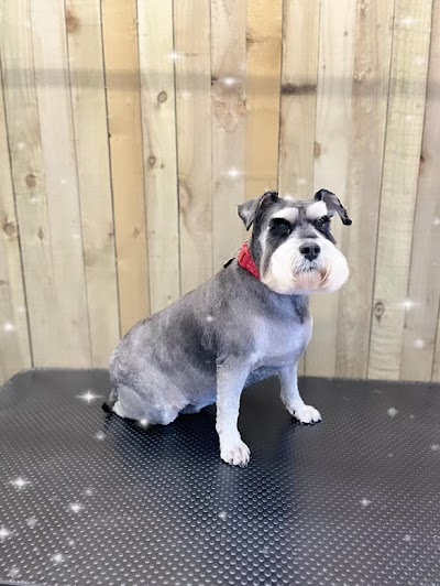 Grooming Van Image