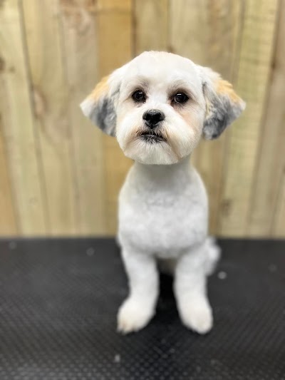 Grooming Van Image