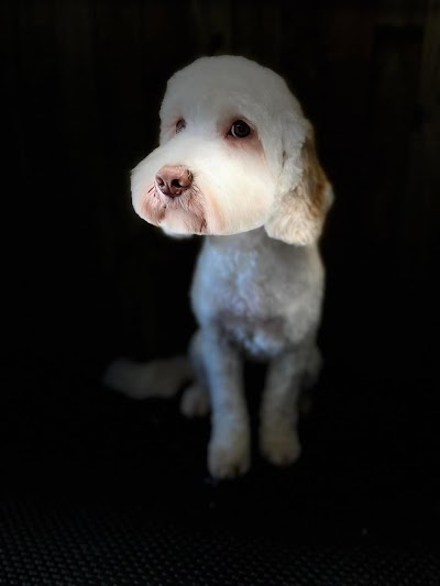 Grooming Van Image