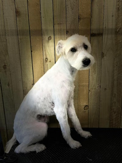 Grooming Van Image