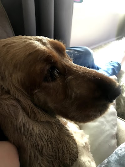 Grooming Van Image