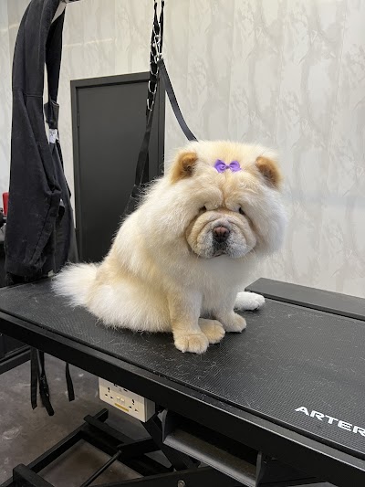 Grooming Van Image