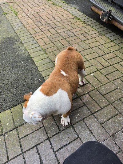 Grooming Van Image
