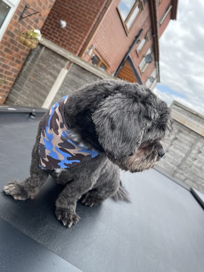 Grooming Van Image