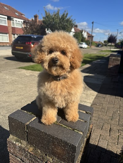 Grooming Van Image