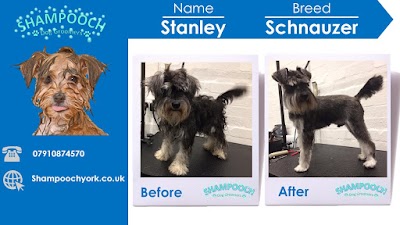 Grooming Van Image