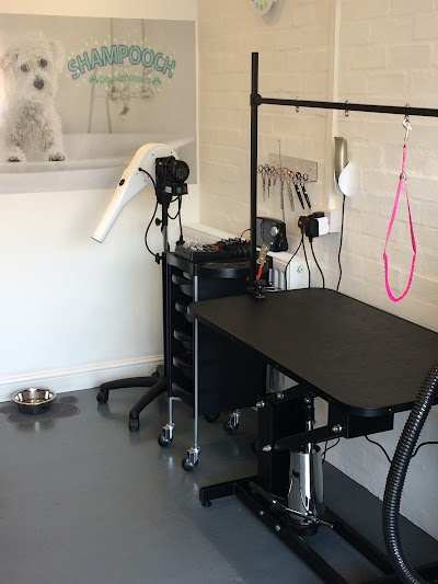 Grooming Van Image