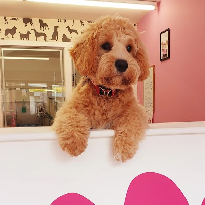 Grooming Van Image