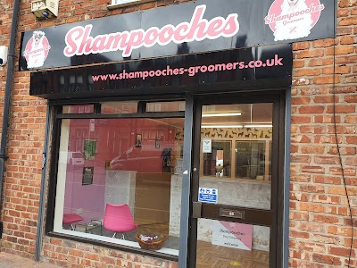 Grooming Van Image