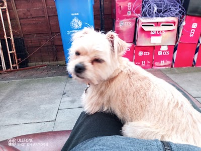 Grooming Van Image