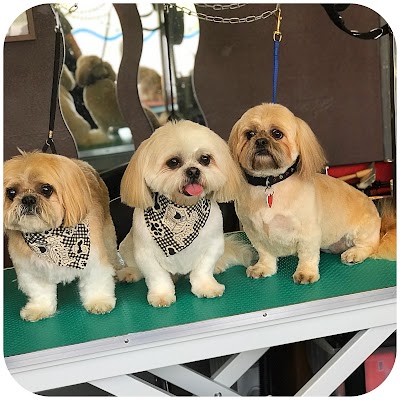Grooming Van Image