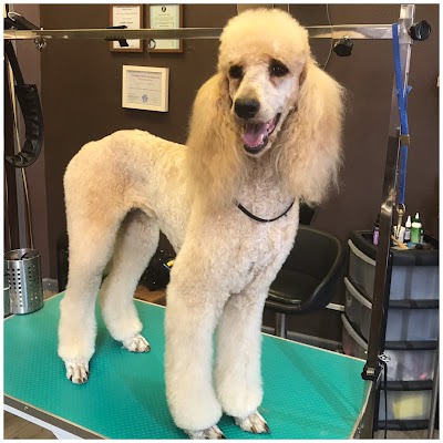 Grooming Van Image