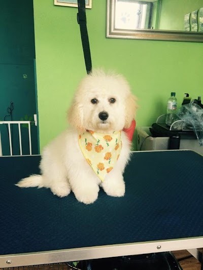 Grooming Van Image