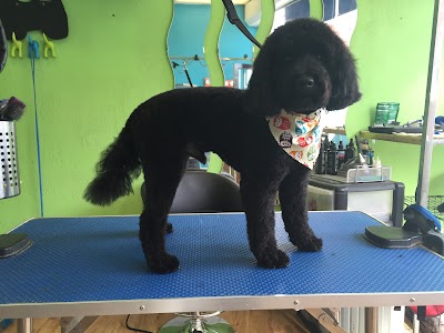 Grooming Van Image