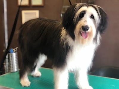 Grooming Van Image